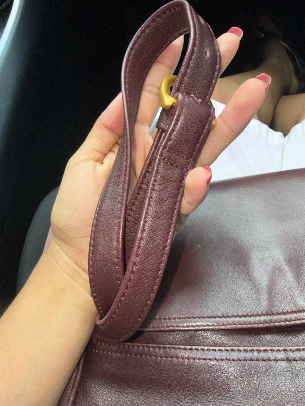 Etienne Aigner Burgundy Leather Crossbody with Gold Hardware